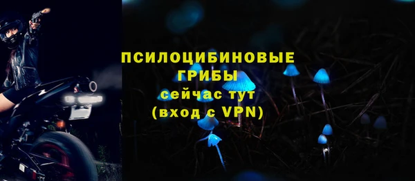 хмурый Козельск
